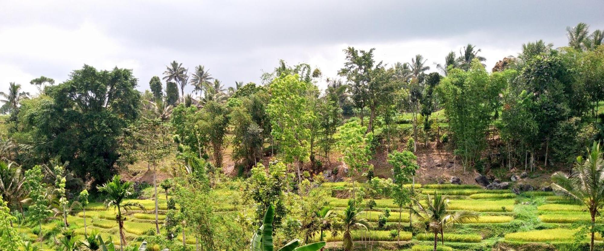 Asan Rinjani Homestay Tetebatu Eksteriør bilde