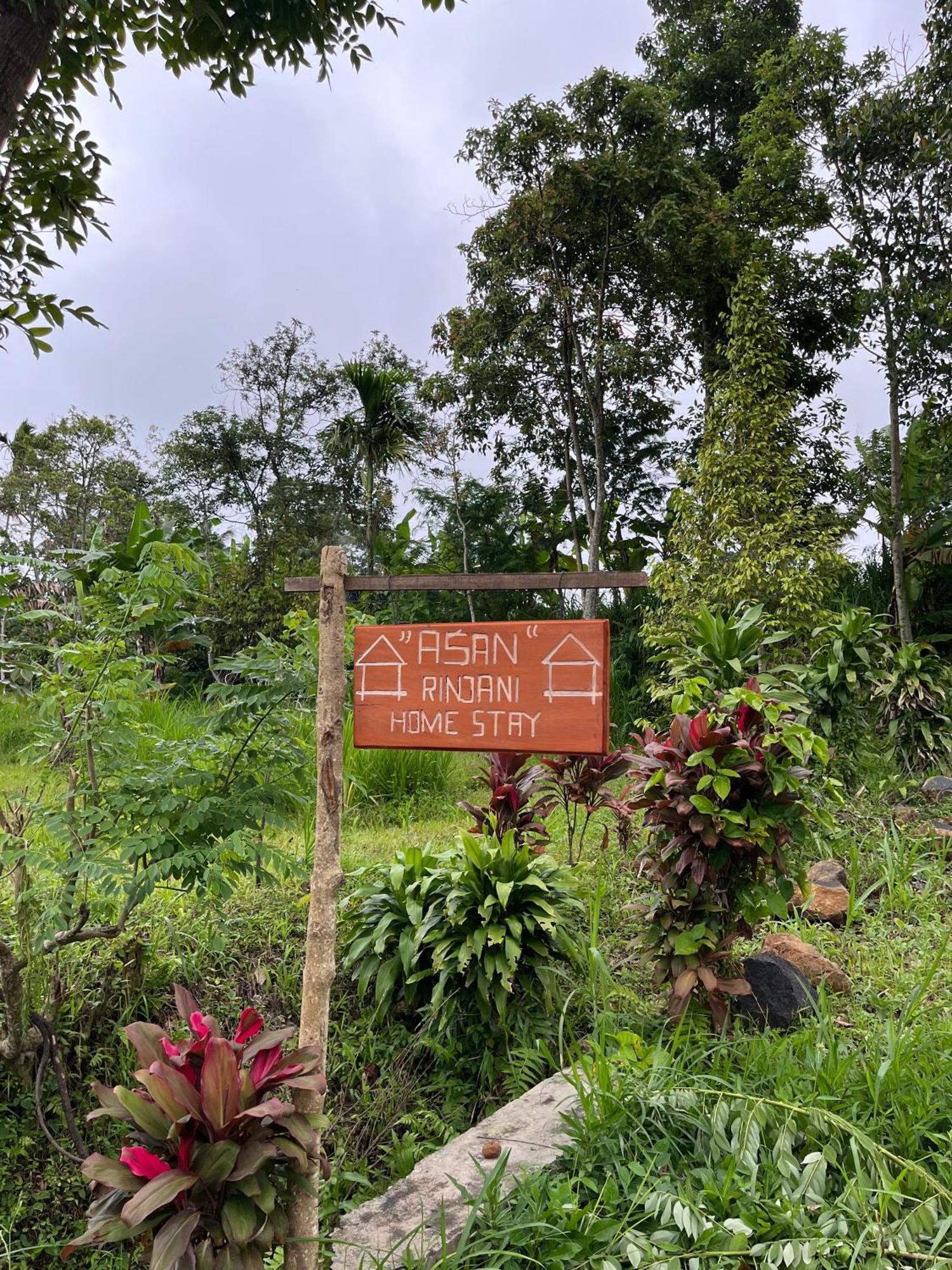 Asan Rinjani Homestay Tetebatu Eksteriør bilde