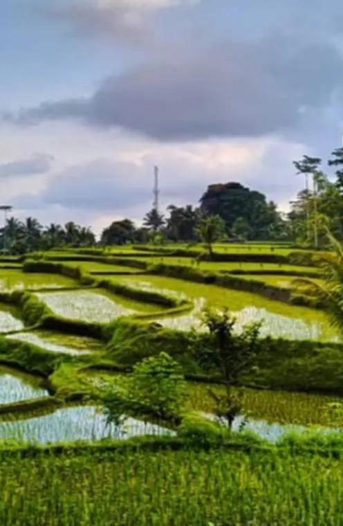 Asan Rinjani Homestay Tetebatu Eksteriør bilde