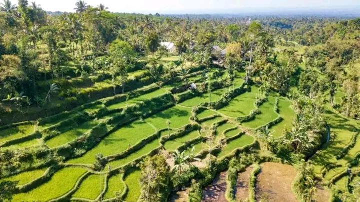 Asan Rinjani Homestay Tetebatu Eksteriør bilde