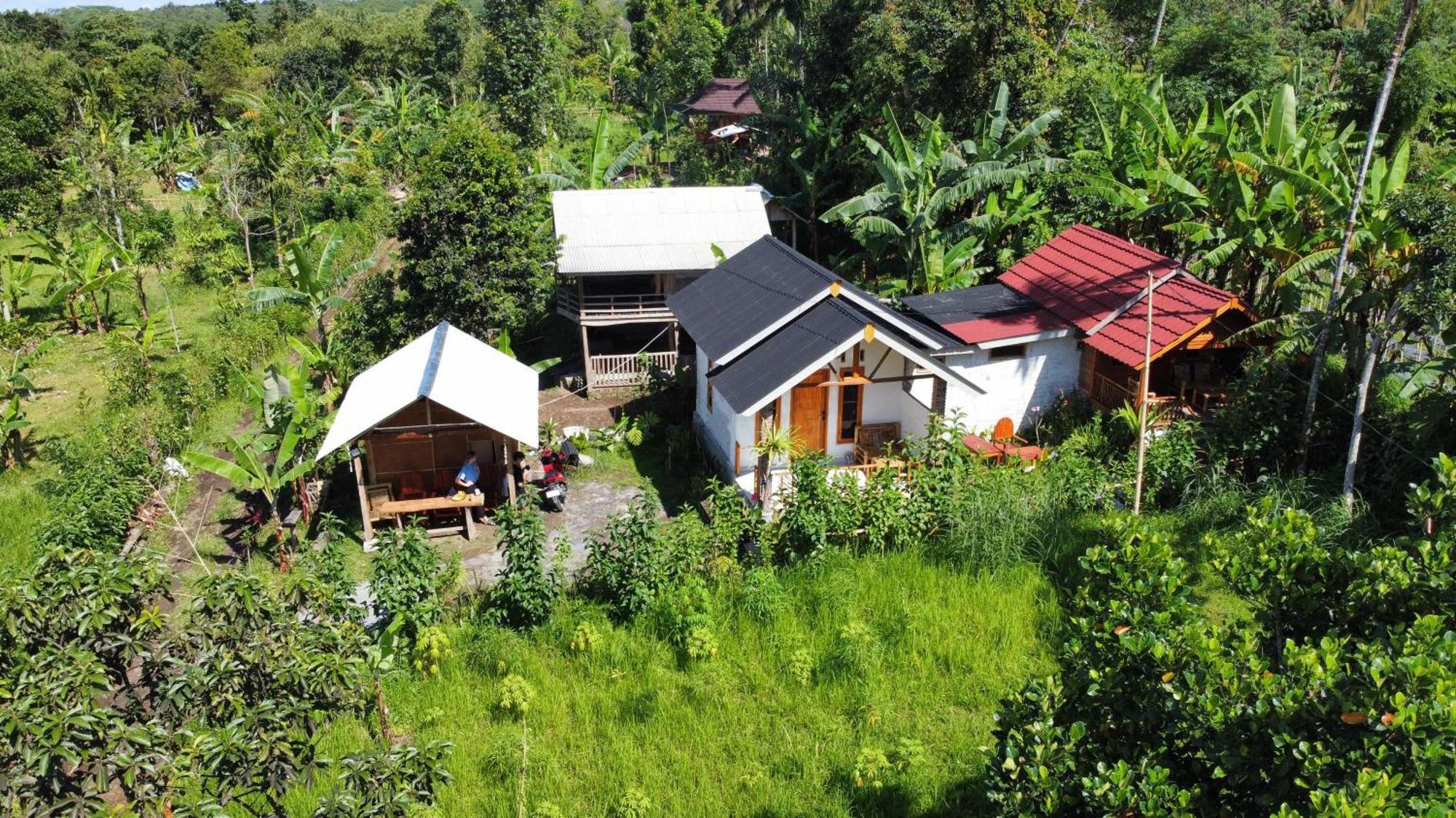 Asan Rinjani Homestay Tetebatu Rom bilde