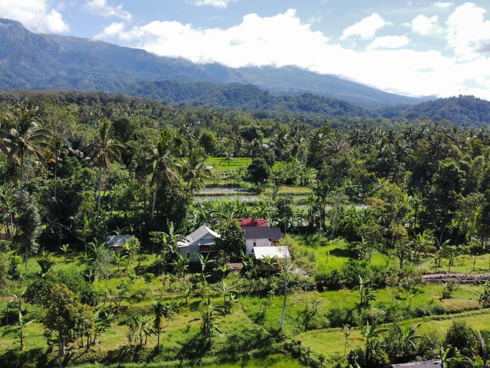 Asan Rinjani Homestay Tetebatu Rom bilde